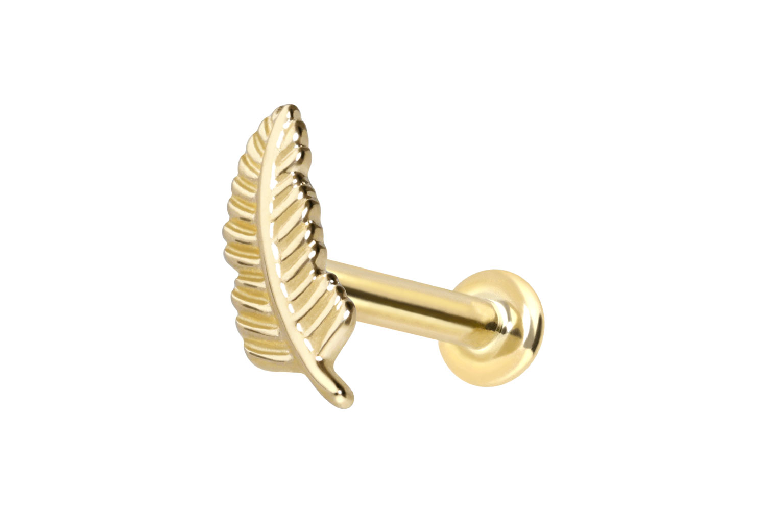 14 Karat Gold Labret Piercing mit Push Fit FEDER